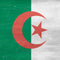 Algeria Flag Distressed Galaxy A20 Clear Case